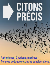 200 aphorismes, apophtegmes, maximes, sentences et autres considérations - Daniel Confland